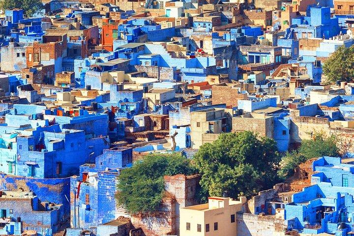 Guided Blue City - Jodhpur Walking Tour Experience with a local