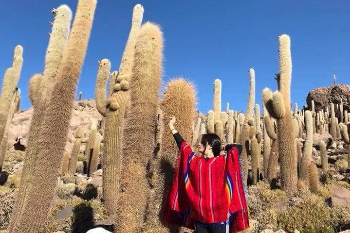 4-daagse Bolivia privétour met Engelse gids vanuit La Paz Bolivia