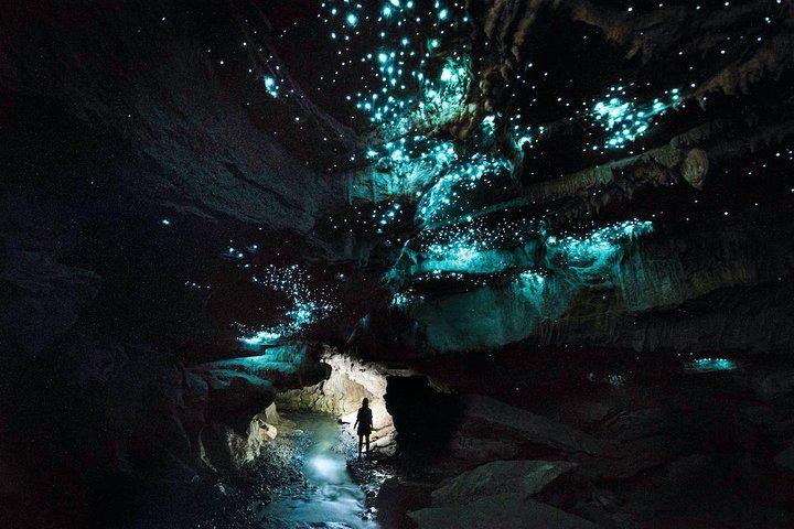 Waitomo’s Hidden Gem : Abseits der ausgetretenen Pfade Glühwürmchenhöhle Tour