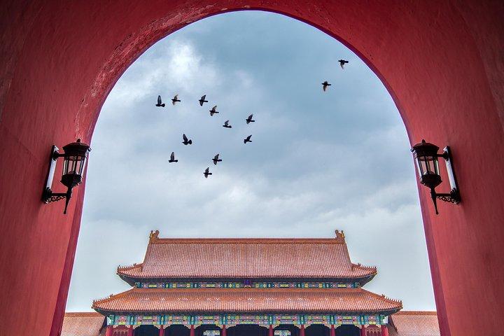 Tour in autobus per Città Proibita + Piazza Tian‘anMen + Tempio del Cielo