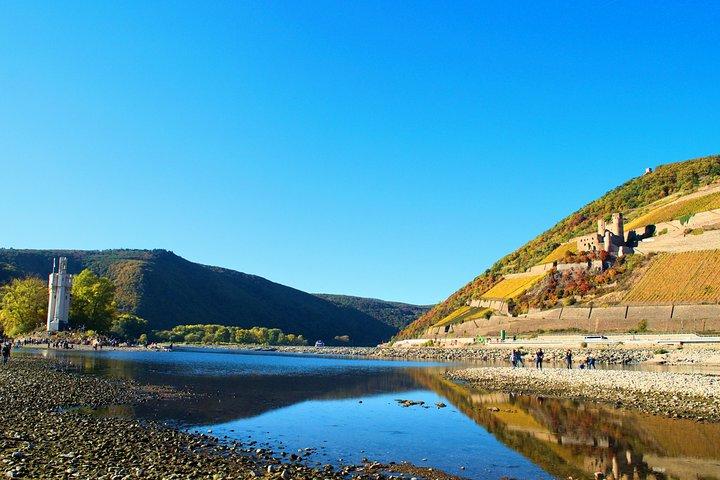 Excursão de degustação de vinhos no Vale do Reno saindo de Frankfurt e Mainz
