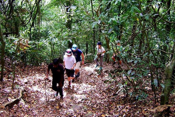 Privé Vogels kijken Trail in Udawatte Kele Sanctuary