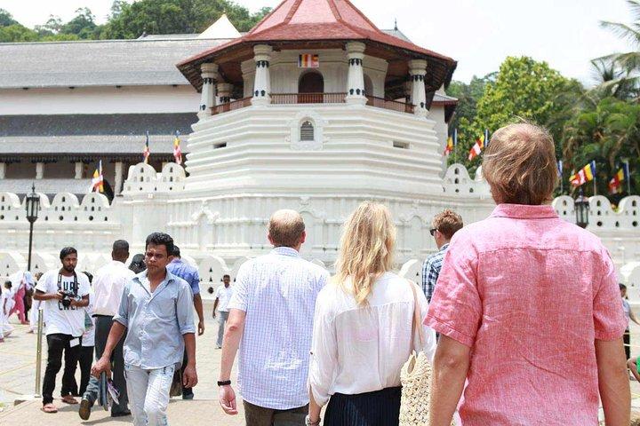 Private Kandy Tagestour von Bentota & Beruwala