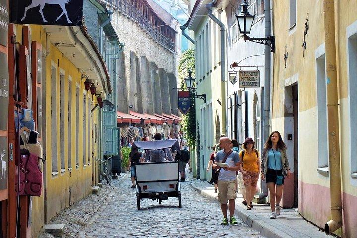 Privater Landausflug: Rundgang durch die Tallinner Altstadt mit Hin- und Rücktransfer