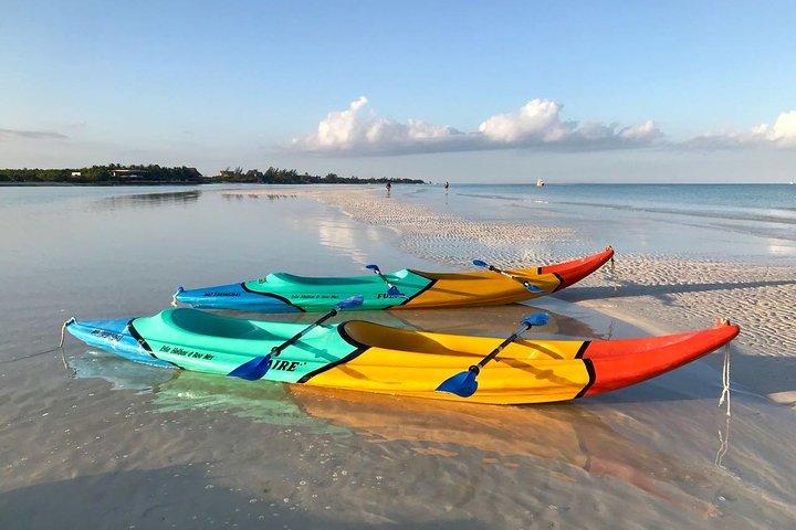 Kajaktur gennem mangroveskoven ved Isla Holbox