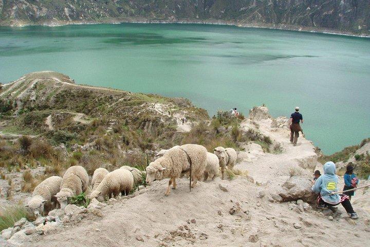 3-dagars privat rundtur till Quilotoa Lagoon & Baños de Agua Santa