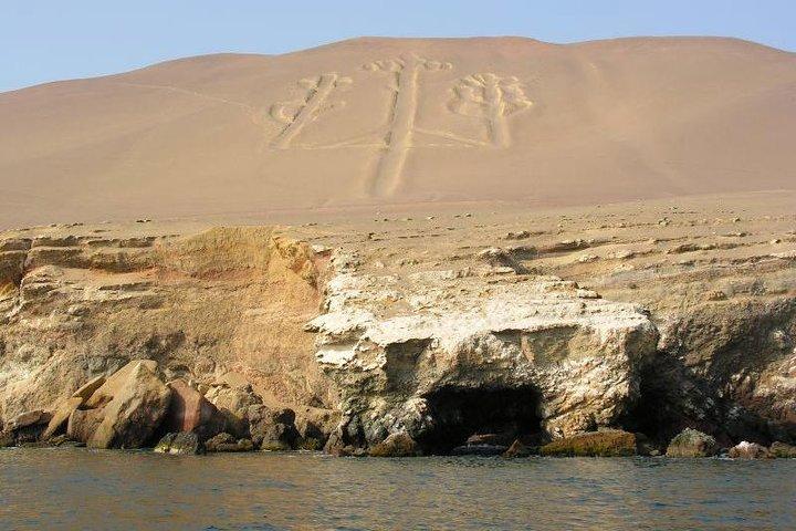 Excursion d'une journée dans les Îles Ballestas et à la Réserve nationale de Paracas au départ de Paracas