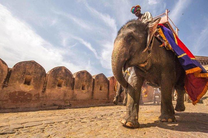 Privat 5 dagar Delhi-Agra-Jaipur Golden Triangle Tour med bil