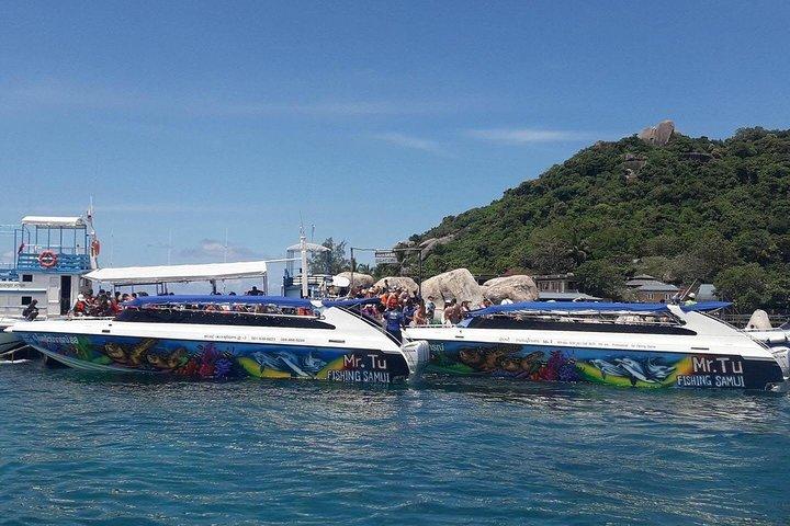 サムイ島からスピードボートでナンユアン島とタオ島へのMr. Tu Snorkel日帰り旅行