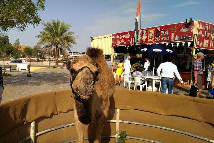 Red Dunes Quad Bike Safari con BBQ y Ferrari world (Tour de 2 días)