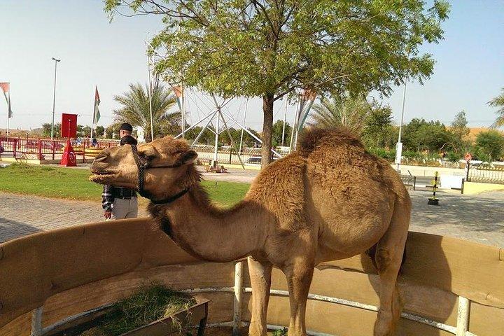 Dubai Rode Duinen Desert Safari, ATV Quad Bike Camel Ride & BBQ Diner