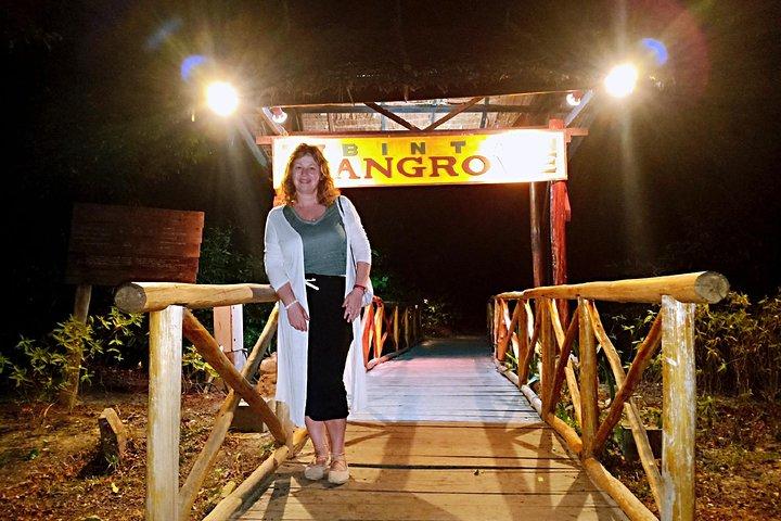 Excursão Descoberta dos Vaga-lumes de Bintan