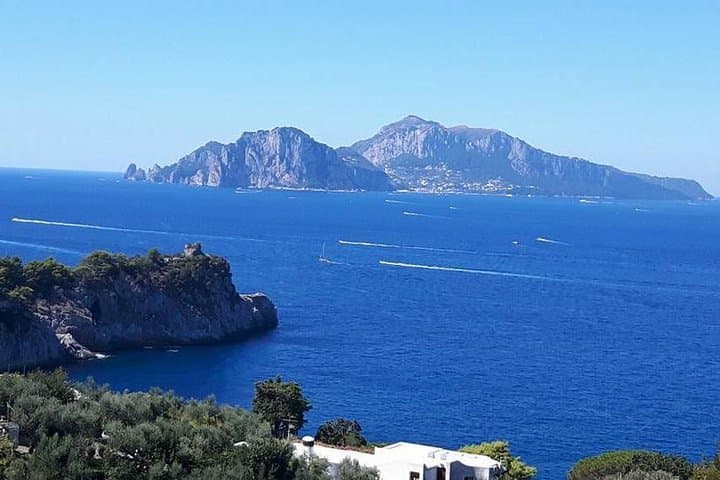 Private Driver VIP Tour of Sorrento & its food delicacies