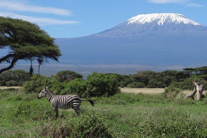 6-Day Masai Mara Interactive, Lake Nakuru & Amboseli Safari