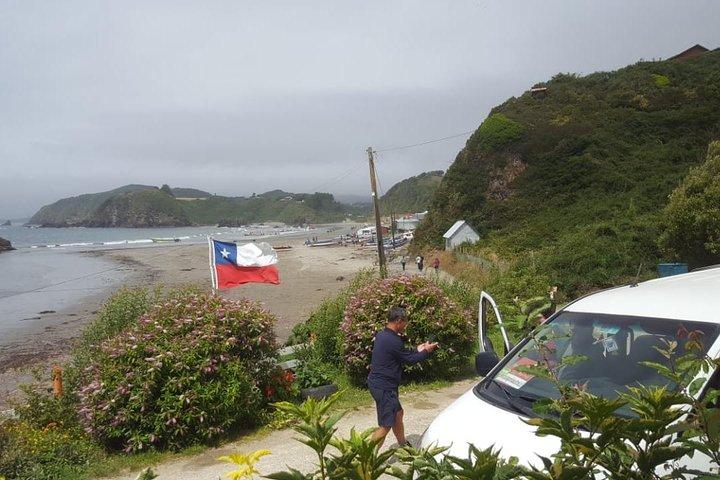 Ilha Chiloé - Tour Puñihuil