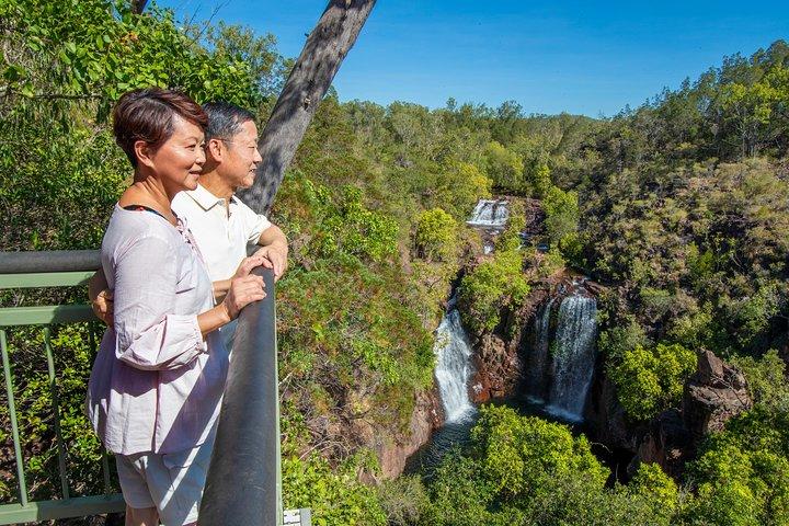 ダーウィン発リッチフィールド国立公園日帰りツアー（ランチ付き）