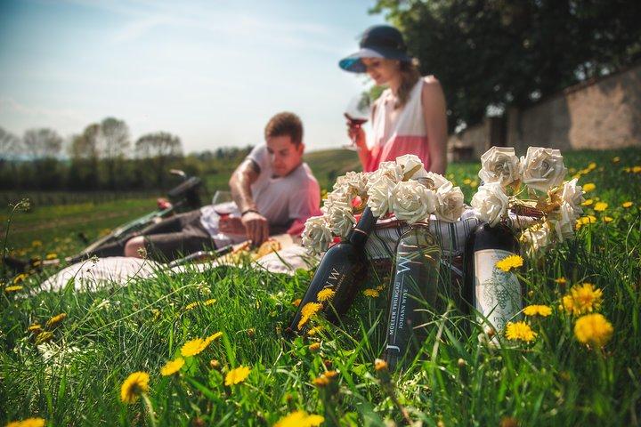 Privates PICKNICK in böhmischen Weinbergen und Weinprobe im Allradfahrzeug