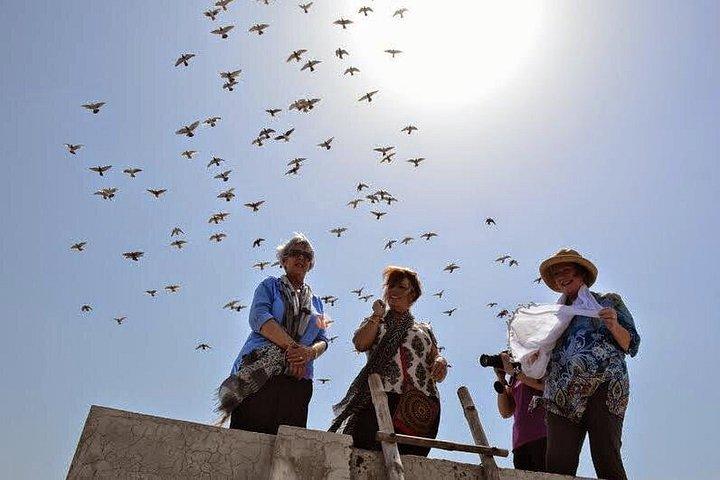 オールド デリー フード、ヘリテージ & カルチャー ウォーク、人力車でマスタージ キー ハヴェリまで