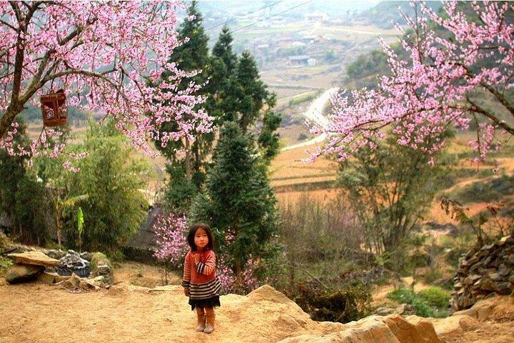 Sapa 3-daagse trekkingstour voor 2 nachten (1 nacht in Ta Van Village, 1 nacht in hotel)