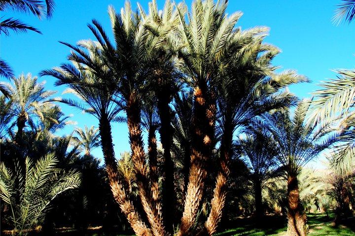 2 Days 1 Night To Zagora Desert From Marrakech: Private Trip