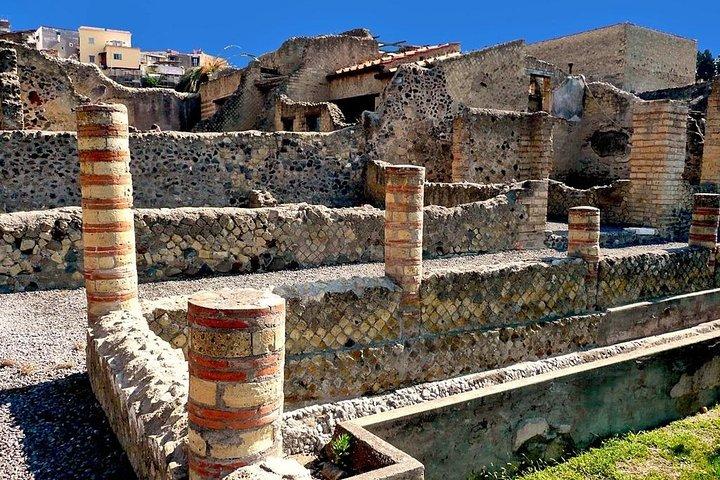 Herculaneum Skip-the-Line Tour saindo de Sorrento