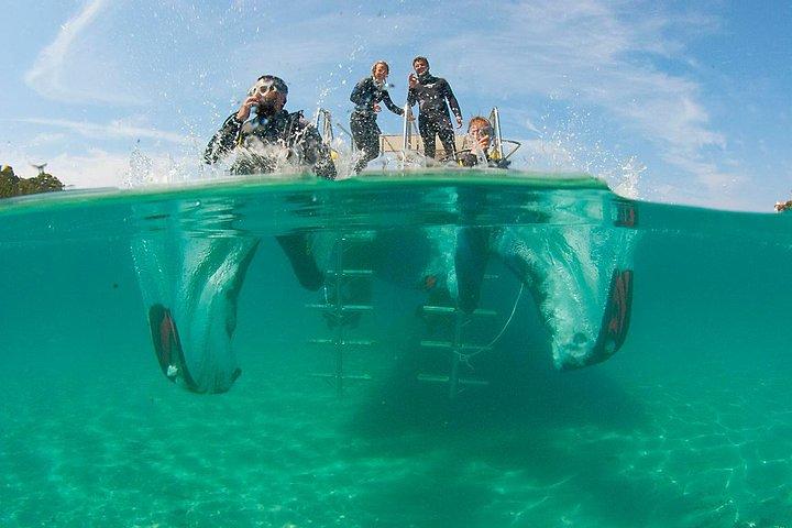 Immersioni per principianti a Santa Ponsa