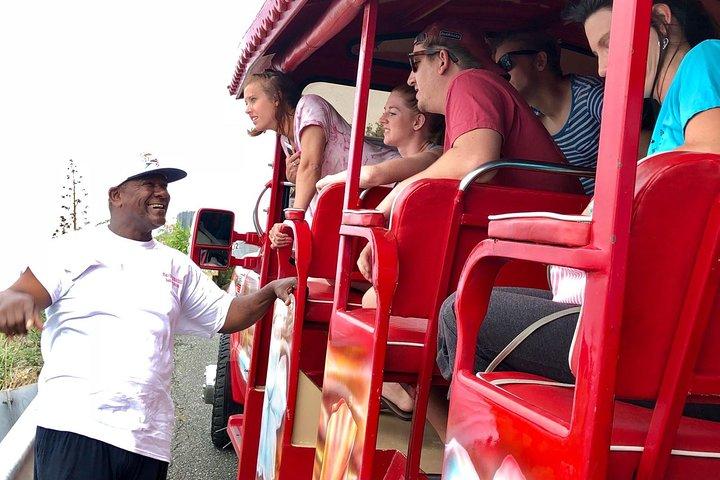 Book Your Private Two and a Half Hour Island Tour today!