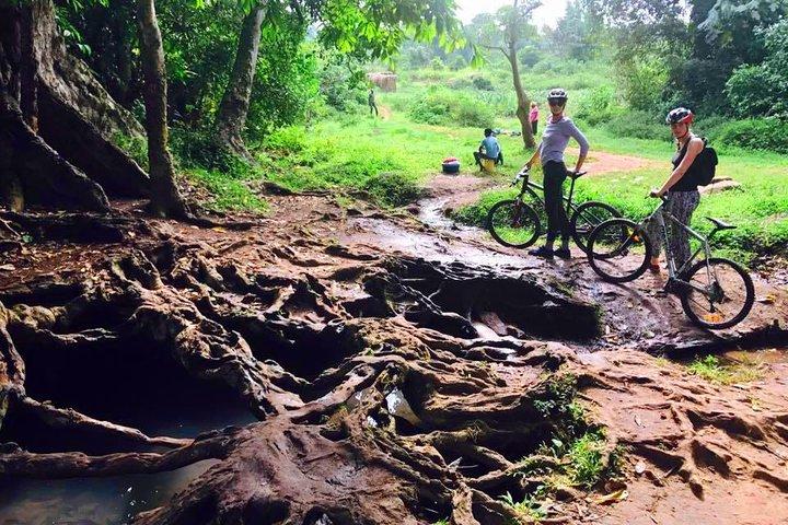 Viktoria-Insel-Radtour ab Kampala