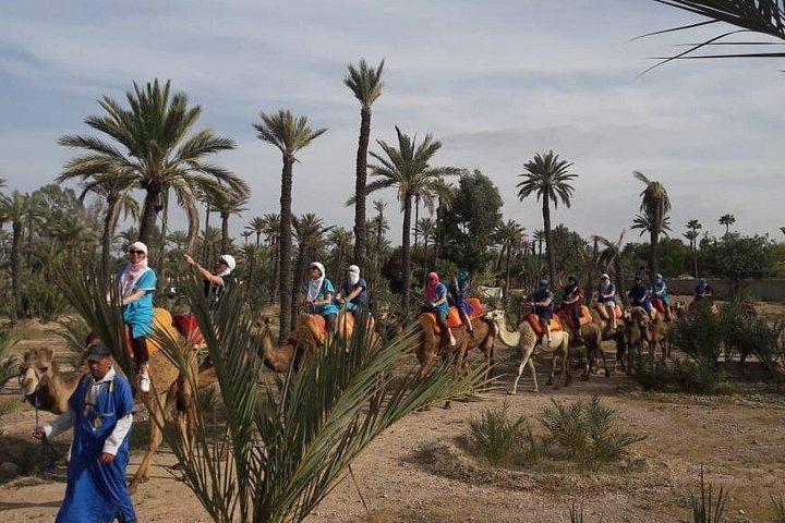 Cammello a cavallo a Marrakech