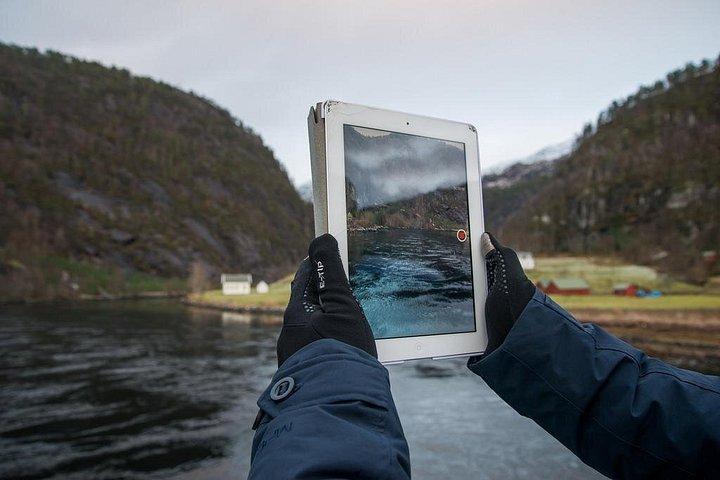 Stadt- oder Fjordkreuzfahrt mit Zodiac-Schnellboot oder Luxus-Pontonboot