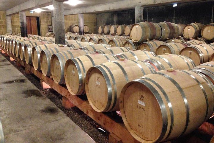 The Original Syrah Wine Tour (14h00 - 18h30) - Visite en petit groupe au départ de Lyon