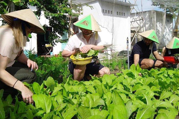Utforska vietnamesiska köket: Matlagningsklass från Ho Chi Minh-staden
