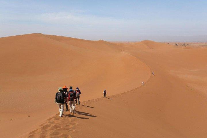 Groepsbudget 3-daagse woestijntour van Marrakesh naar Fez met kameeltocht