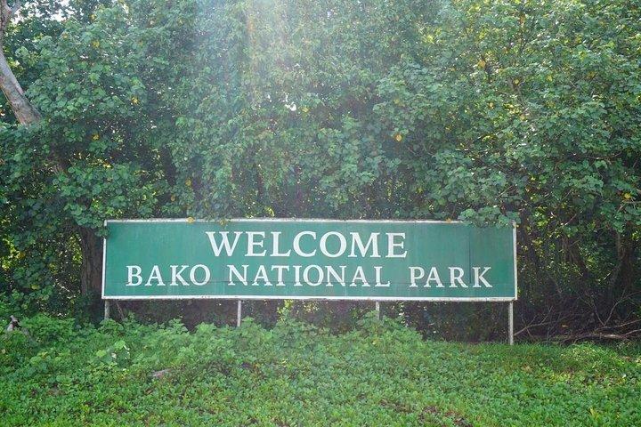 Parc national de Bako