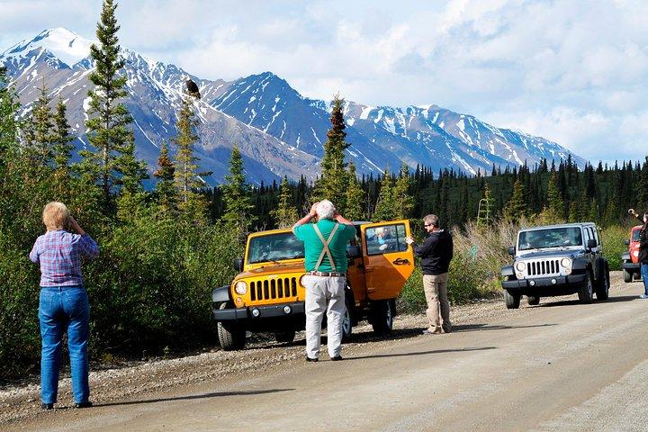 Denali Highway Jeep Excursion: Denali's Most Scenic Drive!