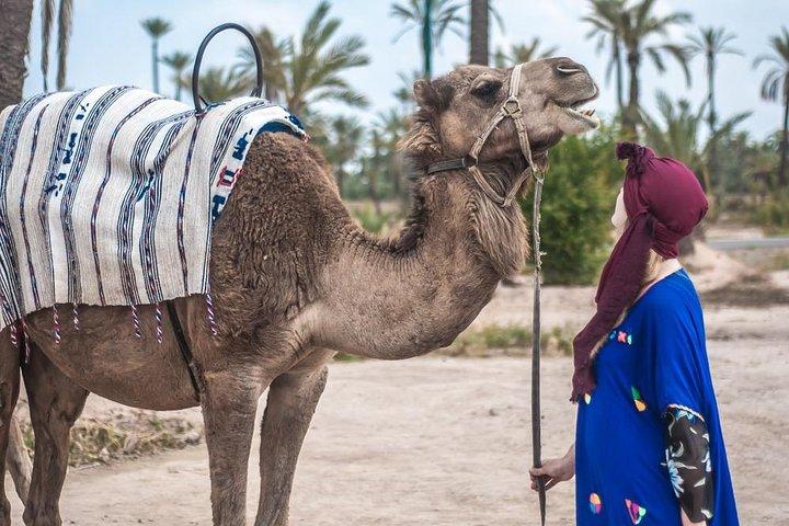 Marrakech camel ride in the Oasis Palmeraie