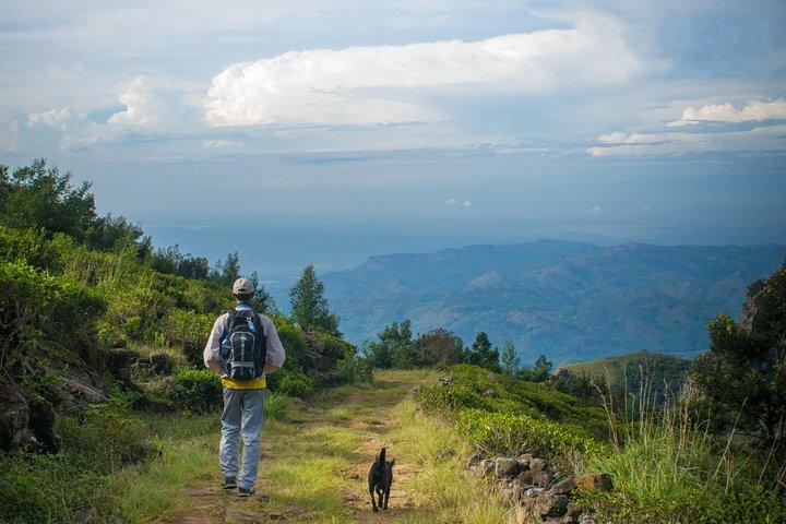 Ella : Guided Devils Staircase Trekking Tour（ランチ付き）