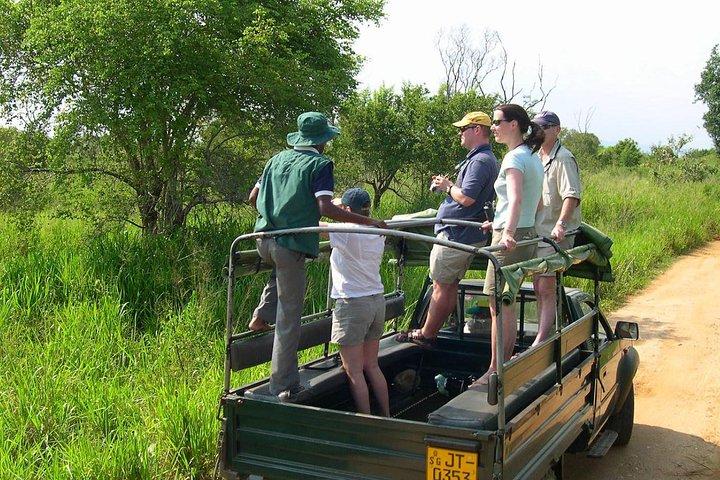 Udawalawe-Nationalpark Morgens oder Nachmittags Pirschfahrt
