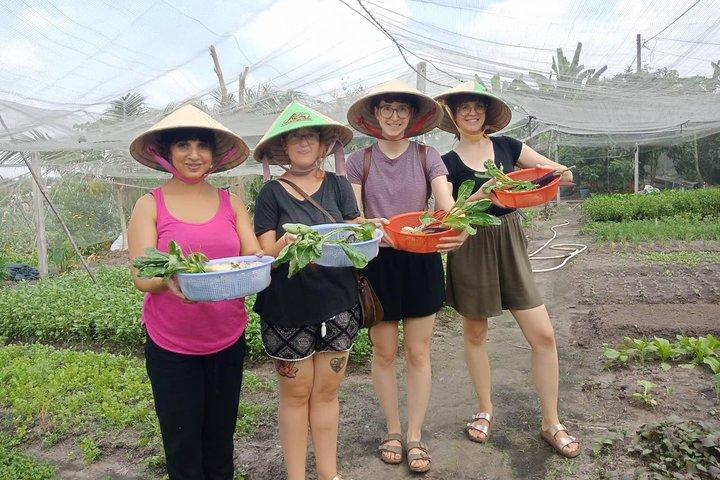 Aula de culinária saudável da fazenda à mesa na cidade de Ho Chi Minh