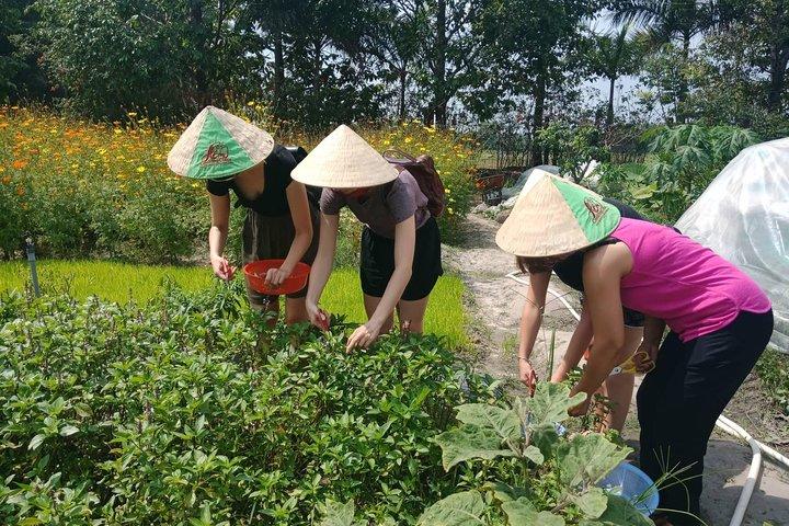 Aula de culinária saudável da fazenda à mesa na cidade de Ho Chi Minh