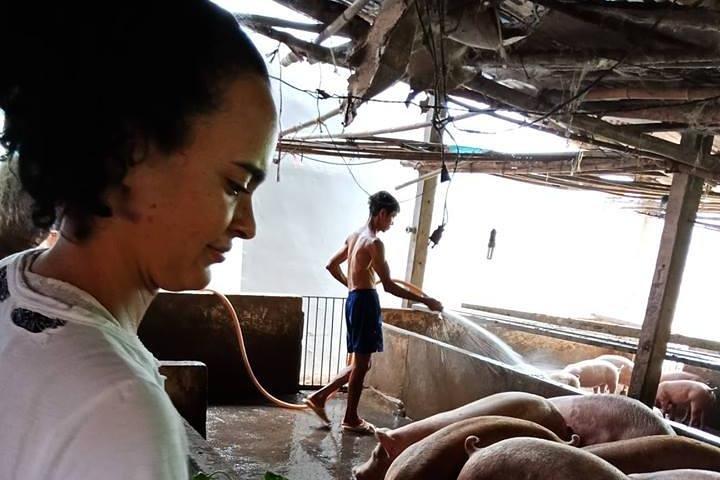 Ho Chi Minh City Full-Day Farm Trip med hälsosam matlagningsklass