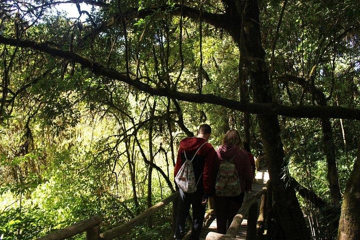 チェンマイ発インタノン日帰り旅行（ランチ付き）-グループまたはプライベート