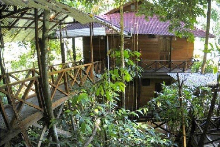 Tour a la selva tropical de Borneo