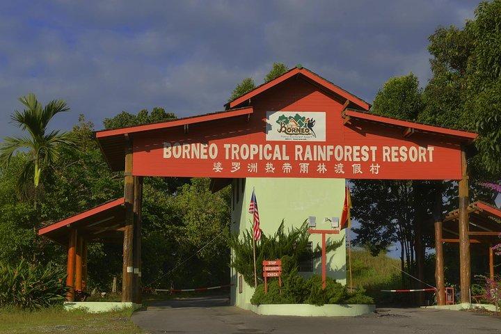 Tour a la selva tropical de Borneo