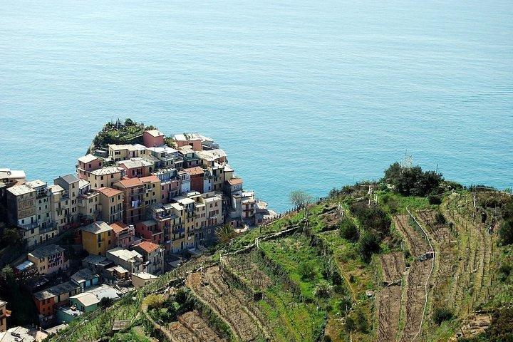 Exclusieve privé Cinque Terre-ervaring vanuit Florence