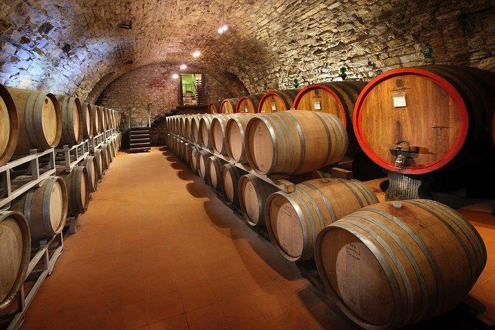 Experiência de degustação de vinhos em pequenos grupos na zona rural da Toscana