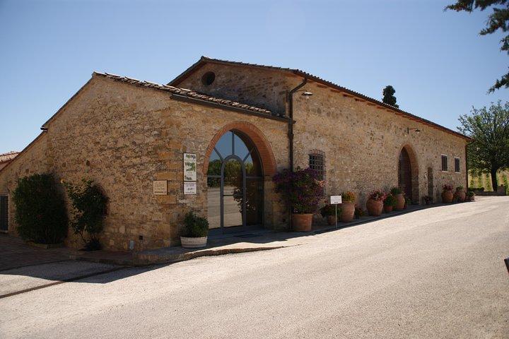 Experiência de degustação de vinhos em pequenos grupos na zona rural da Toscana