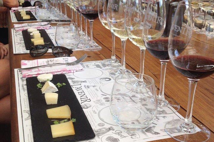 Excursão VINHO diária diferente para pequenos grupos - STELENBOSCH PICKUP apenas