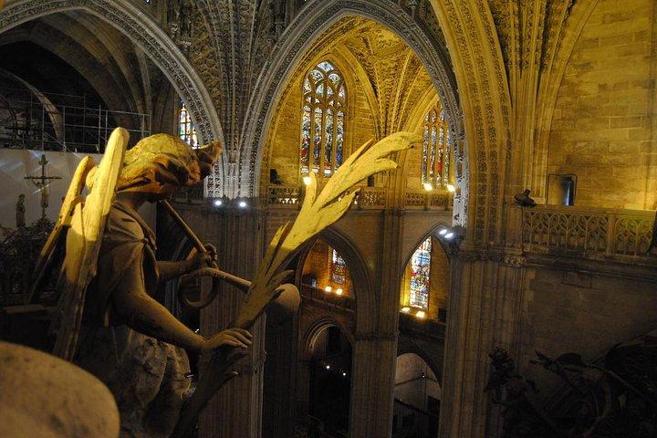 Privétour: stadstour door Sevilla (kathedraal, Royal Alcázar en Santa Cruz)