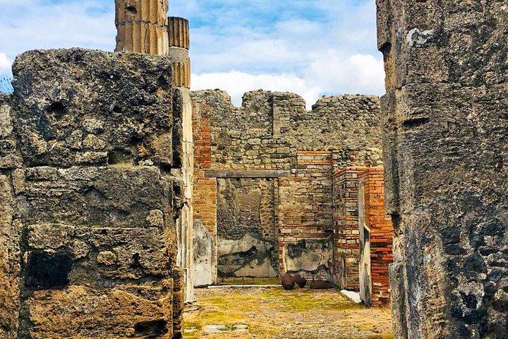 Tour de um dia por Nápoles e Pompeia a partir de Roma: Bilhete de Pompeia e visita à cidade